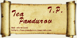 Tea Pandurov vizit kartica